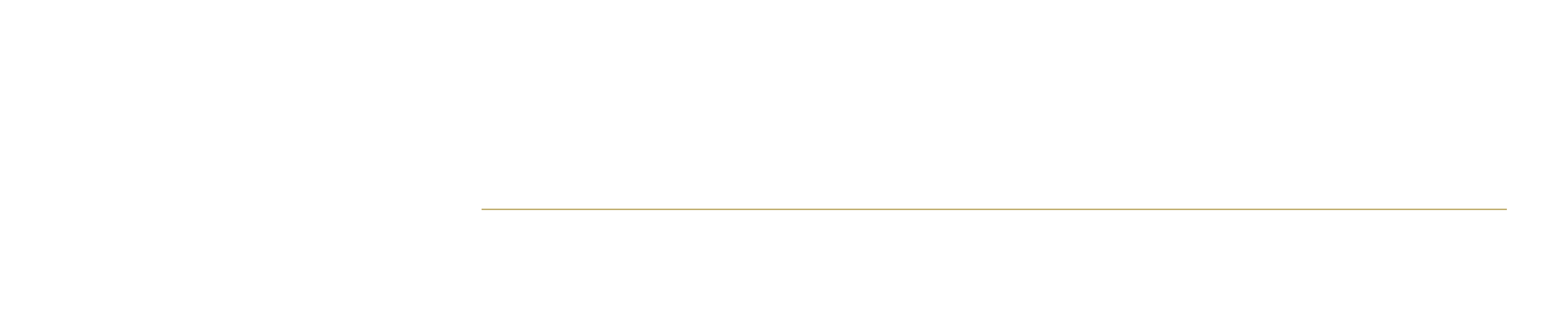 Aragsan web logo1